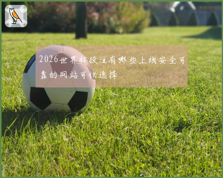 2026世界杯投注有哪些上线安全可靠的网站可供选择