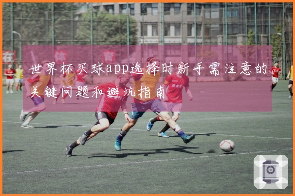世界杯买球app选择时新手需注意的关键问题和避坑指南