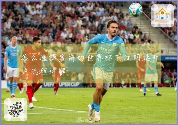 怎么选择靠谱的世界杯下注网站开户流程详解